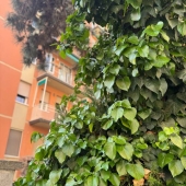 Appartamento, Bologna, Toscana, Savena – Vendita