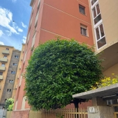 Appartamento, Bologna, Toscana, Savena – Vendita