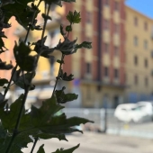 Appartamento, Casalecchio di Reno, Centro, Marullina – Vendita #5779