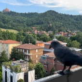 Appartamento, Bologna, Costa, Saragozza, Saffi – Vendita