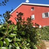 Appartamento, Bologna, Aeroporto, Borgo Panigale – Vendita
