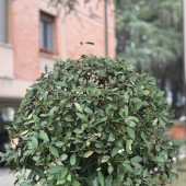 Appartamento, Bologna, Barca, Barca, Santa Viola – Vendita