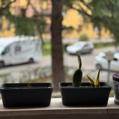 Appartamento, Bologna, Barca, Barca, Santa Viola – Vendita