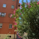Appartamento, Casalecchio di Reno, Talon, Croce – Vendita #7389