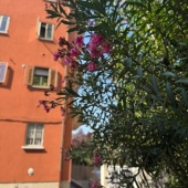 Appartamento, Casalecchio di Reno, Talon, Croce – Vendita #7389