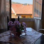 Appartamento, Bologna, Centro Storico, Centro – Vendita